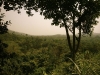 togo11