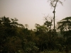 togo12