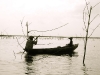 togo9
