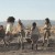 CANNES 2013 : Wakolda de Lucia Puenzo
