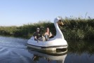 CANNES 2013 : Swandown d’Andrew Kötting