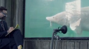 CLIP DU JOUR : Aquarium sur fond d’anti-folk et de rap